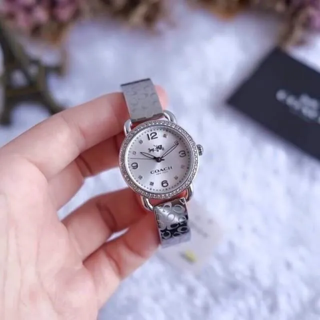 Coach Delancey Classic All Silver Diamond Ladies Watch 14502353