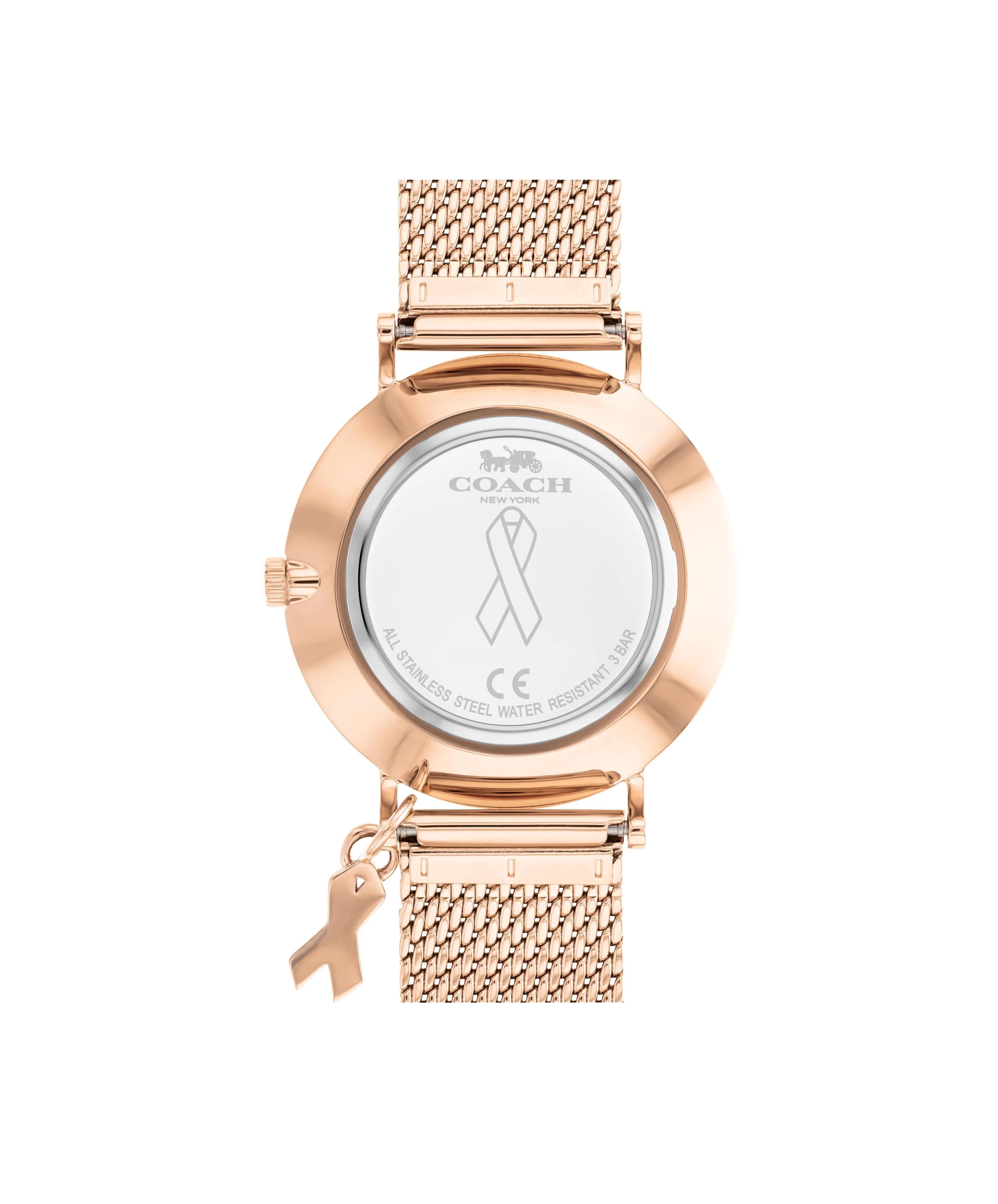 Coach Ladies Perry 14503804