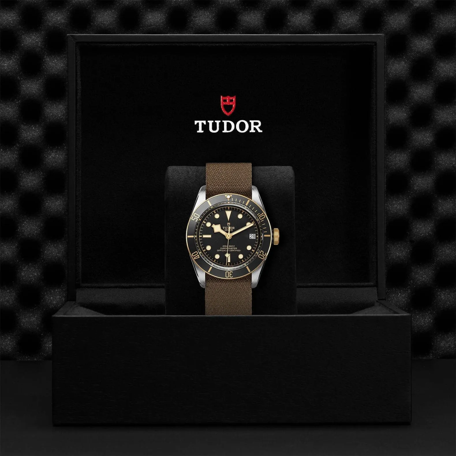 TUDOR Black Bay S&G 41mm Steel And Gold - M79733N-0005